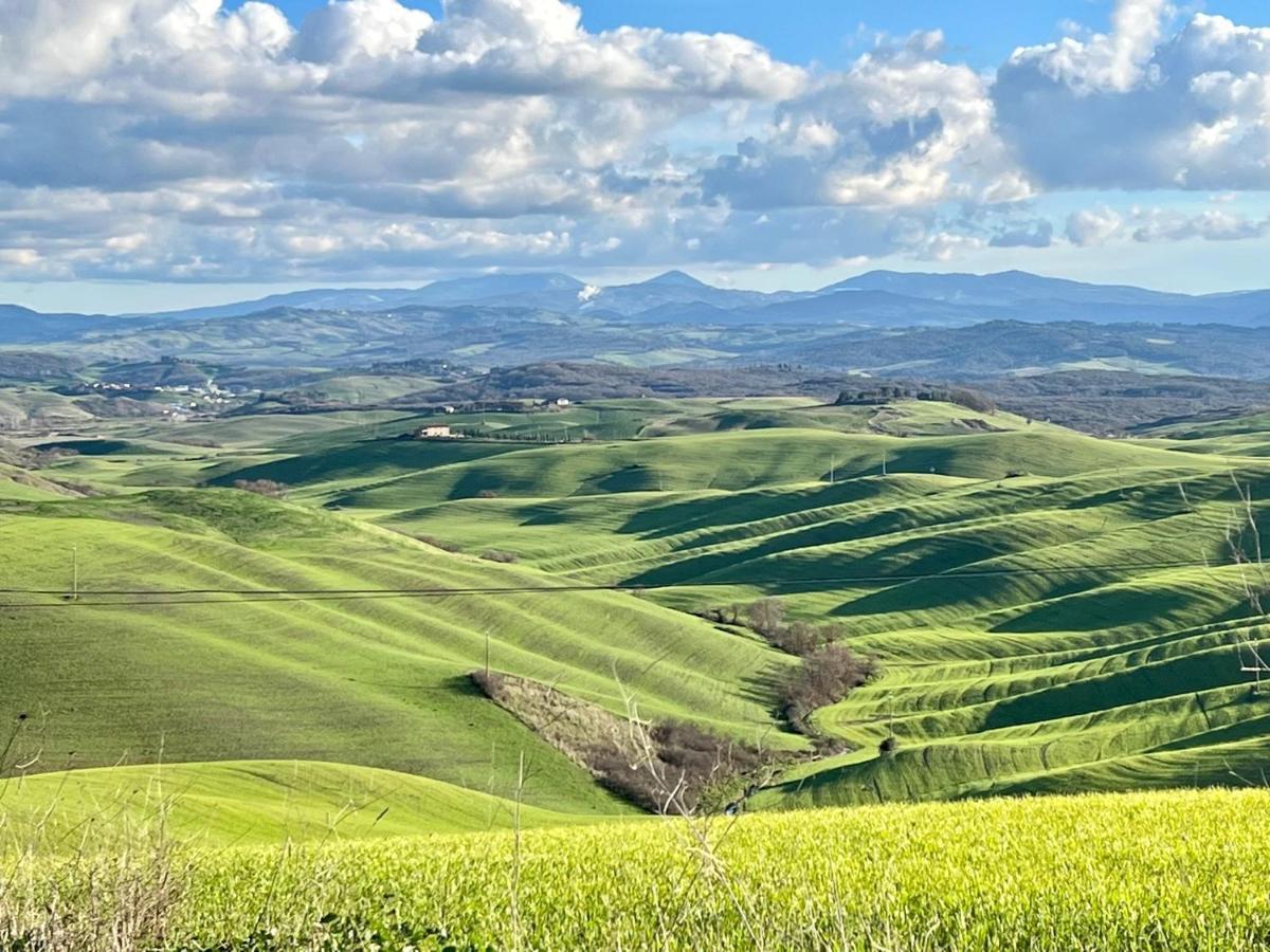 Toscana Amore Mio, Stunning View & 14Min Volterra 몬테카티니발디세시다 외부 사진
