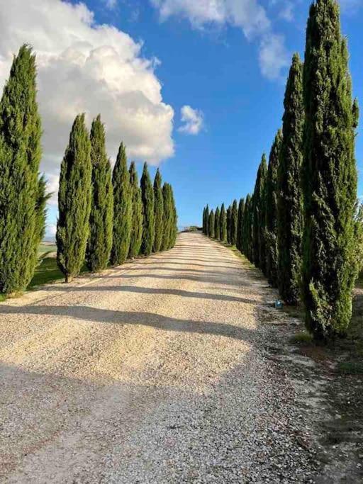 Toscana Amore Mio, Stunning View & 14Min Volterra 몬테카티니발디세시다 외부 사진