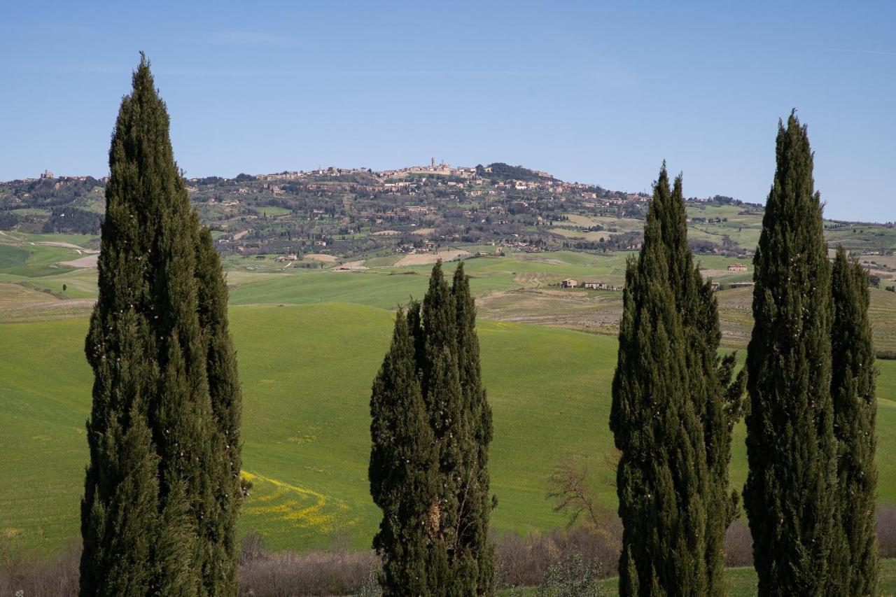 Toscana Amore Mio, Stunning View & 14Min Volterra 몬테카티니발디세시다 외부 사진